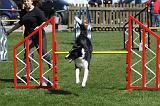 AGILITY - SAUT 037